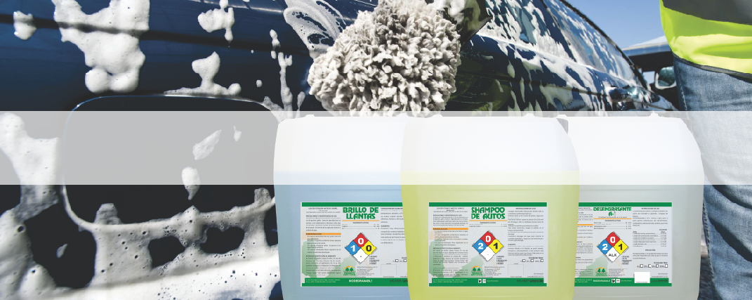 División Automotríz